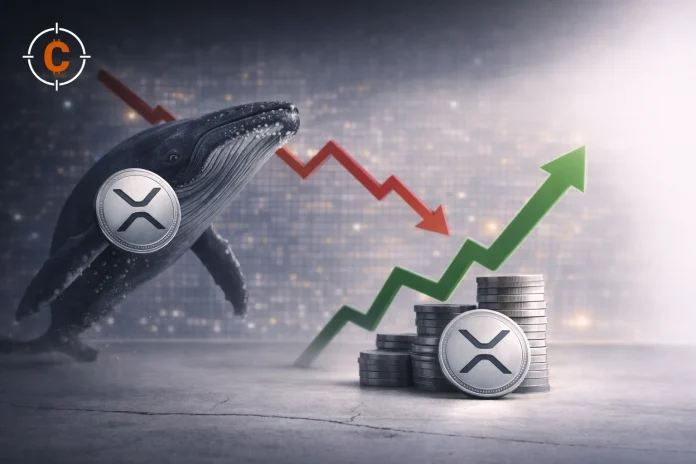 Ripple whales hebben in maart miljoenen XRP gekocht ondanks een dalende XRP koers. Wat is hier aan de hand?