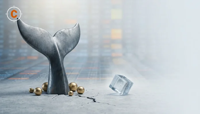 Waarom kopen bitcoin whales 270.000 BTC nu ETF-beleggers vluchten?